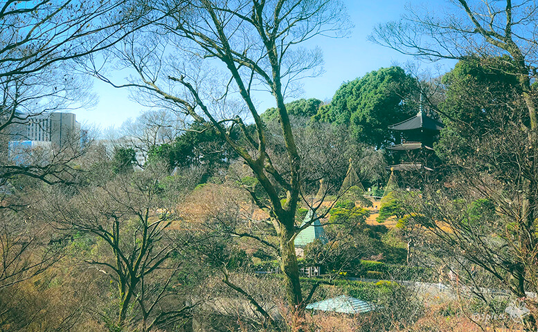 椿山荘の連絡通路から見える美しい庭園